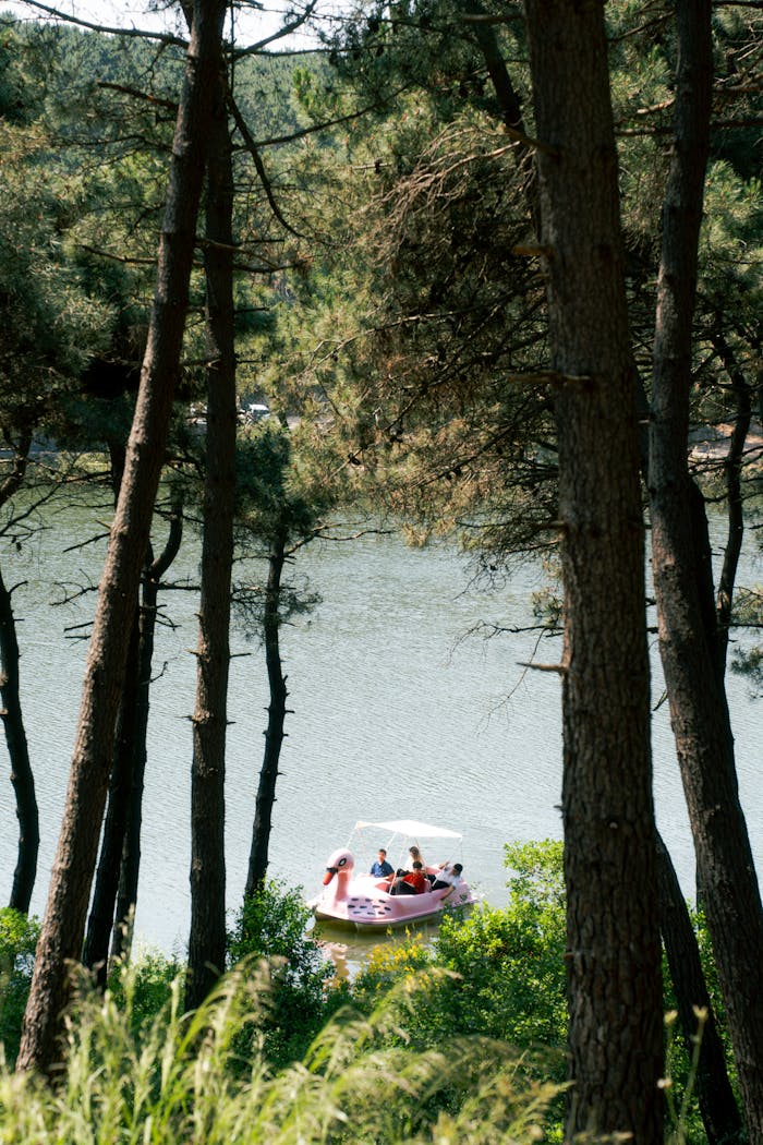 Free stock photo of family, family activities, family activity